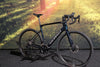 Nightshade Teal 55cm 2026