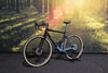Bice Blue-Titan Flash S 2026