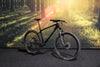 Sensa Fiori XCR Race Shiny Black + Hologram L 2026