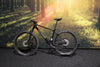 Sensa Fiori XCR Race Shiny Black + Hologram L 2026