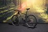 Sensa Fiori XCR Race Shiny Black + Hologram L 2026