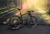 Sensa Fiori XCR Race Shiny Black + Hologram L 2026