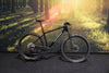 Sensa Fiori XCR Race Shiny Black + Hologram L 2026